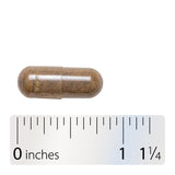 Nature's Way® | Alive! Joint - Capsule and ruler