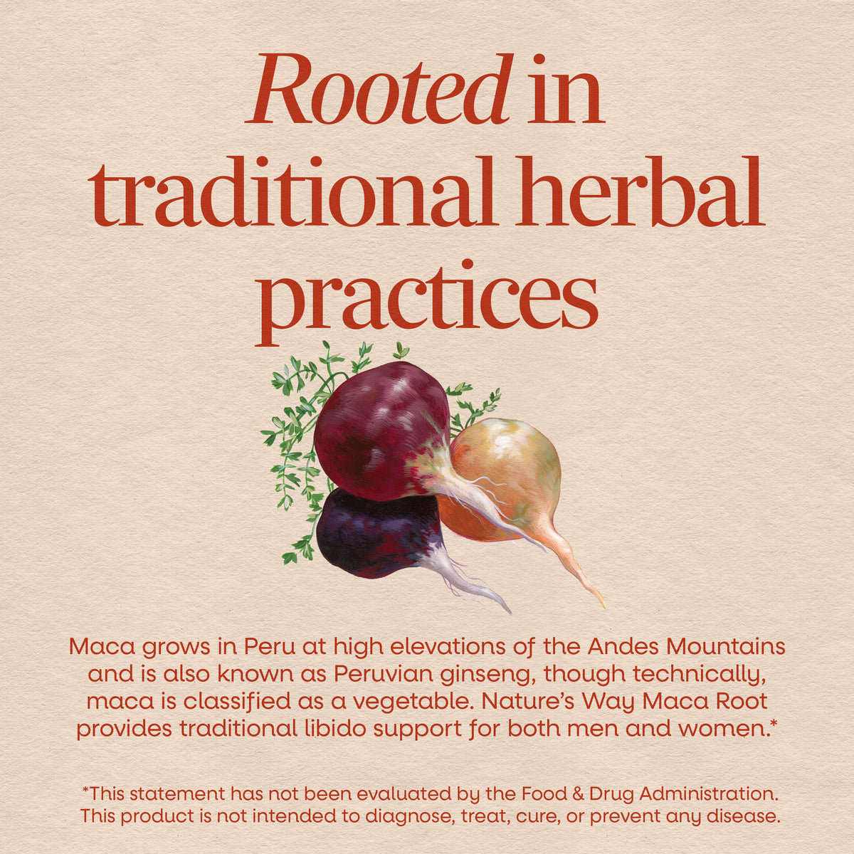 Nature's Way® | Maca Root