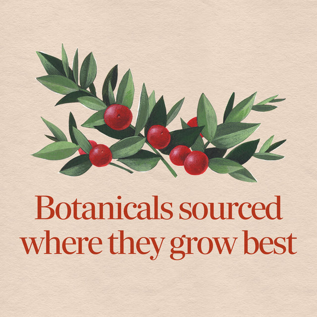 Nature's Way® | Butcher's Broom Root