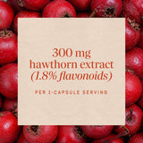 Nature's Way® | Hawthorn Standardized Extract