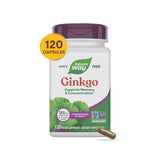 Nature's Way® | Ginkgo