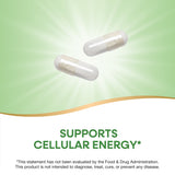 Nature's Way® | Pantothenic Acid Vitamin B5