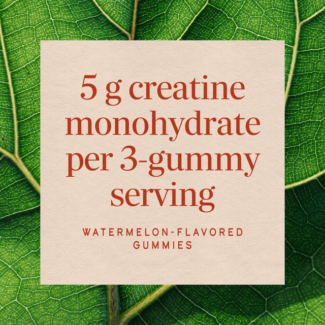 Nature's Way® | Creatine Gummy