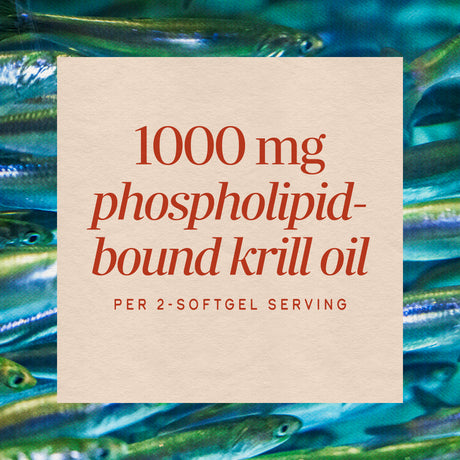 Nature's Way® | Krill Oil
