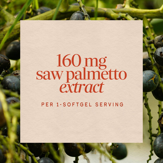 Nature's Way® | Saw Palmetto