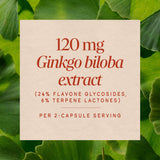 Nature's Way® | Ginkgo