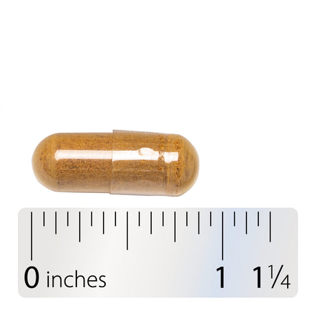 Nature's Way® | Fo-Ti Root - Capsule and ruler