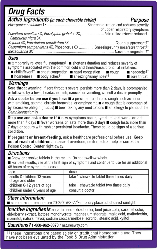 Nature's Way® | Sambucus Cold+Flu Relief Elderberry Chewables - back of pack