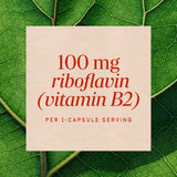 Nature's Way® | Riboflavin Vitamin B2