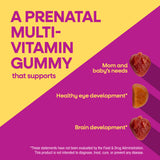 Nature's Way® | Alive! Premium Prenatal Gummies