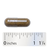 Nature's Way® | Moringa - Capsule and ruler