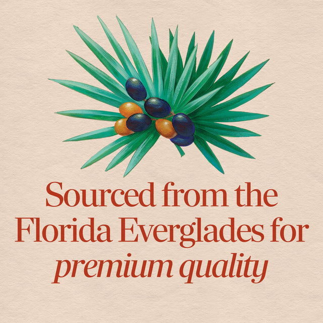 Nature's Way® | Saw Palmetto