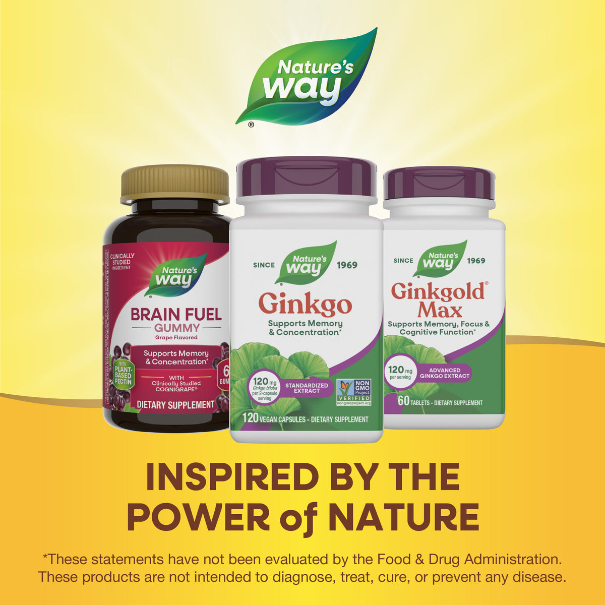 Nature's Way® | Ginkgo