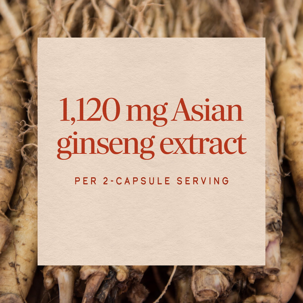 Nature's Way® | Asian Ginseng