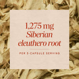 Nature's Way® | Siberian Eleuthero Root