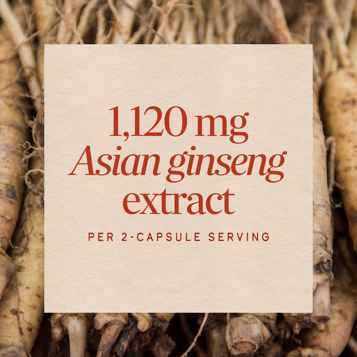 Nature's Way® | Asian Ginseng
