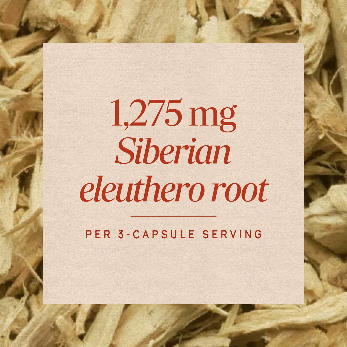 Nature's Way® | Siberian Eleuthero Root