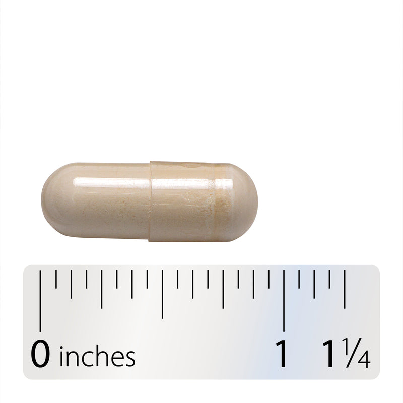 <{%360IMAGE3_15603%}>Nature's Way® | Hydraplenish with MSM - Capsule and ruler