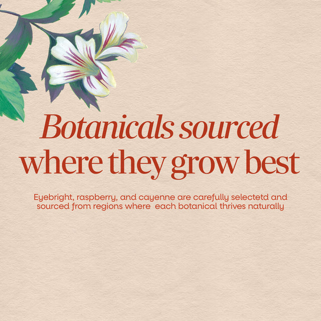 Nature's Way® | Eyebright Premium Blend