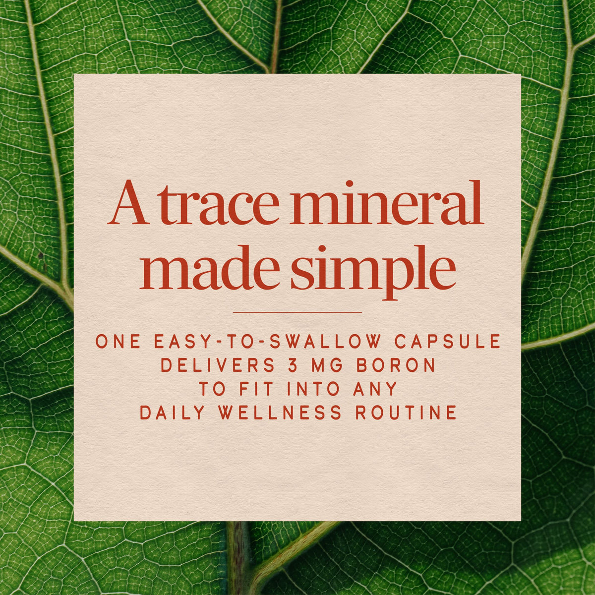 Nature's Way® | Boron Complex