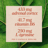 Nature's Way® | Adrenal Stress-End