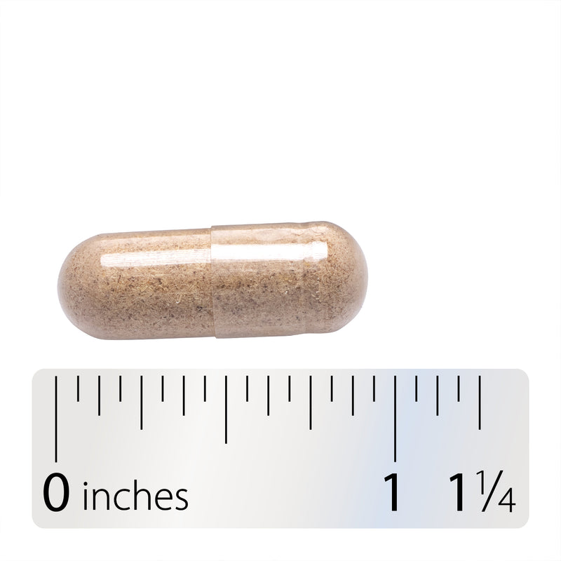 <{%360IMAGE8_13500%}>Nature's Way® | Siberian Eleuthero Root - Capsule and ruler