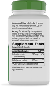 Nature's Way® | Kelp - right side of pack