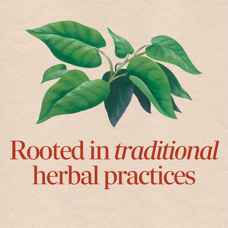 Nature's Way® | Fo-Ti Root