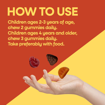 Alive!® Premium Kids Gummy Multivitamin Supplement Facts