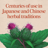 Nature's Way® | Burdock Root