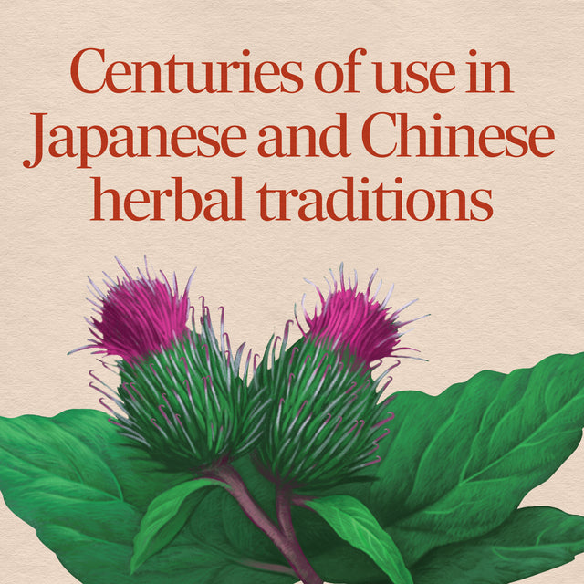 Nature's Way® | Burdock Root