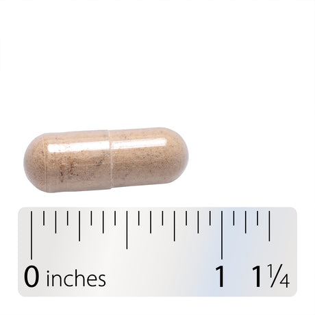 Nature's Way® | Maca Standardized Extract - Capsule and ruler