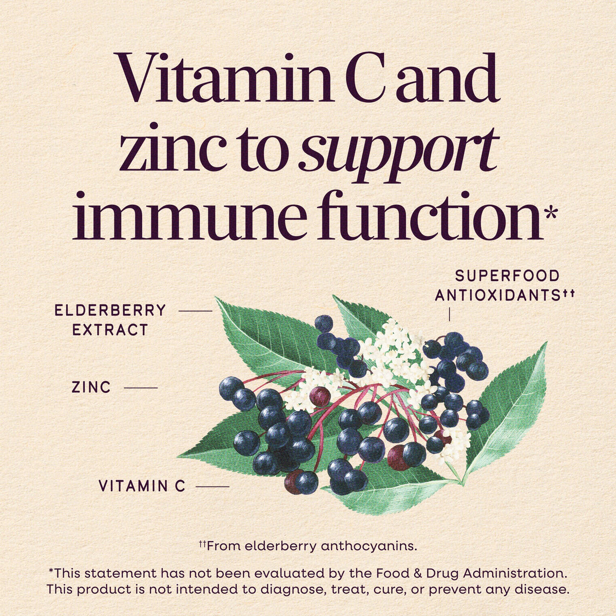 Nature's Way® | Sambucus Elderberry Kids Immune Chewable