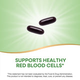 Nature's Way® | Energizing Iron