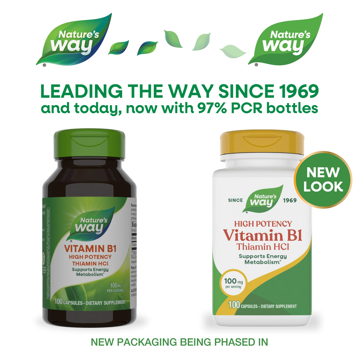 Nature's Way® | Vitamin B1 High Potency Thiamin HCl