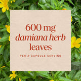 Nature's Way® | Damiana Leaves