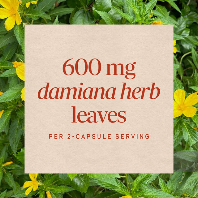 Nature's Way® | Damiana Leaves