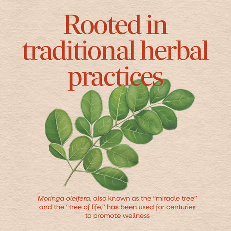 Nature's Way® | Moringa