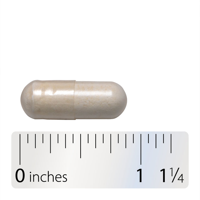 Nature's Way® | Fortify Daily Pre+Probiotic Age 50+ - Capsule and ruler