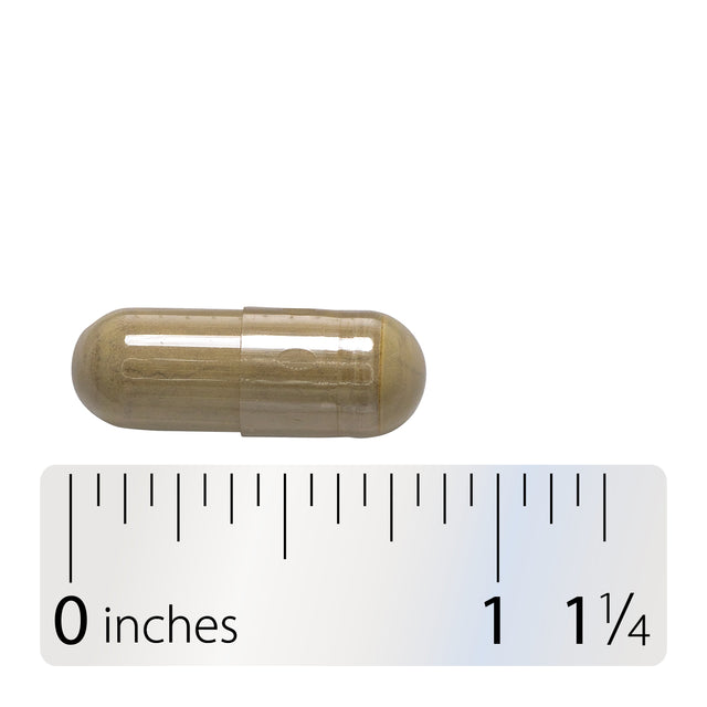 Nature's Way® | Olive Leaf Standardized Extract - Capsule and ruler