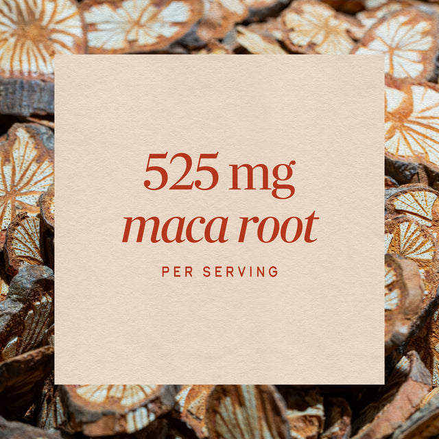 Nature's Way® | Maca Root