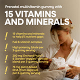 Nature's Way® | Alive! Premium Prenatal Gummies