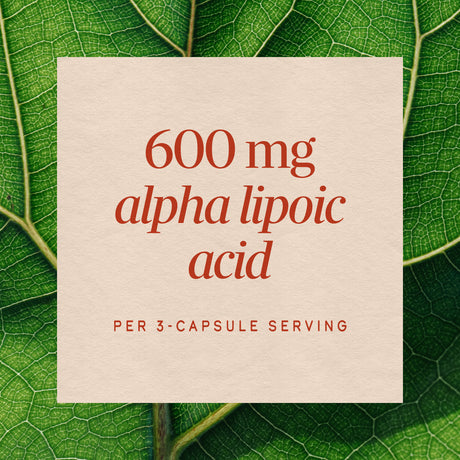Nature's Way® | Alpha Lipoic Acid