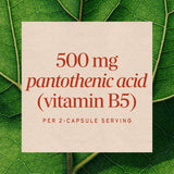 Nature's Way® | Pantothenic Acid Vitamin B5