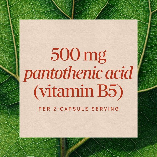Nature's Way® | Pantothenic Acid Vitamin B5