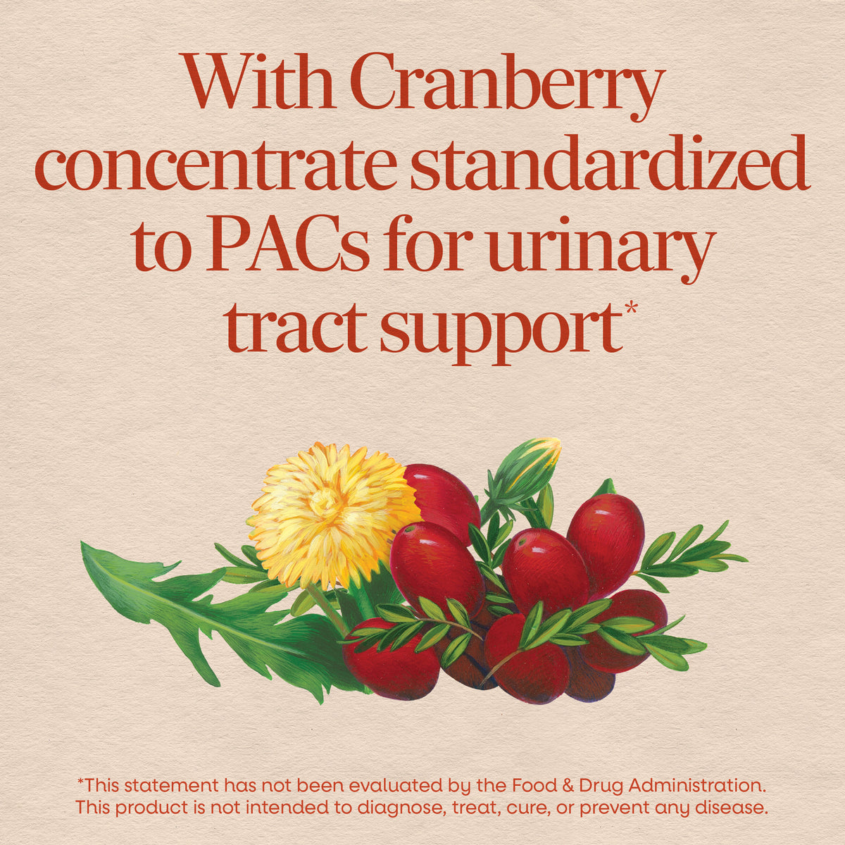 Nature's Way® | Urinary with Cranberry Premium Blend