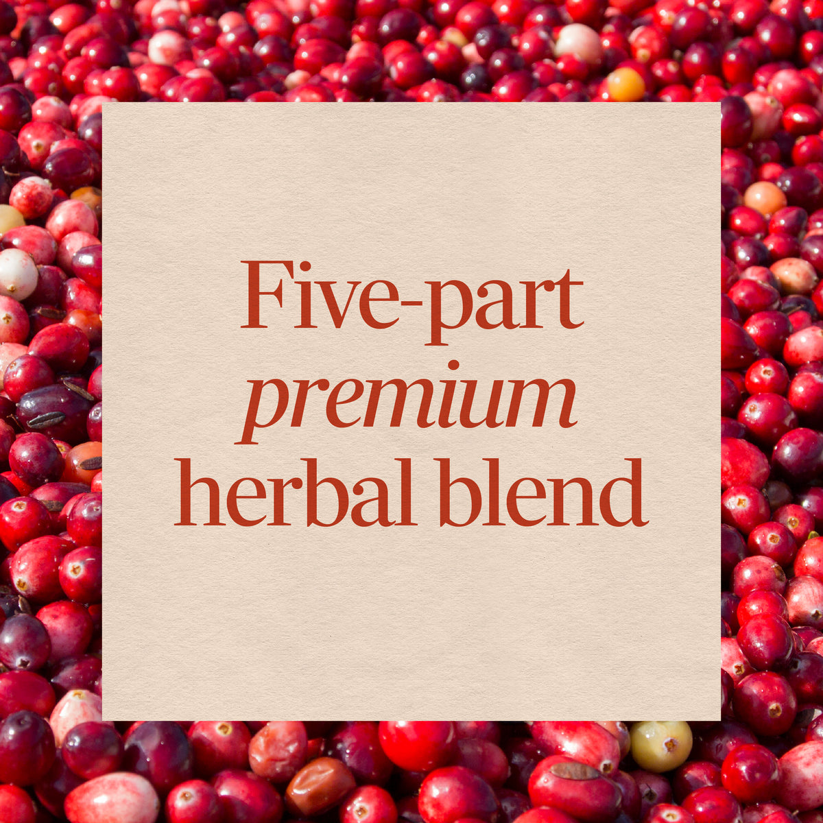 Nature's Way® | Urinary with Cranberry Premium Blend