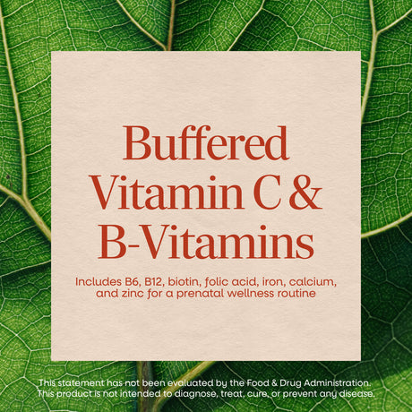 Nature's Way® | Prenatal Multivitamin