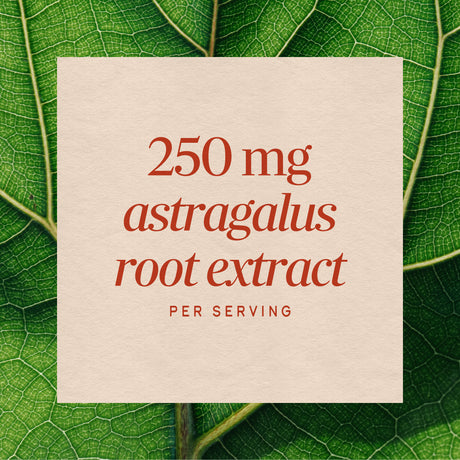Nature's Way® | Astragalus