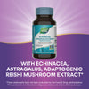 Nature's Way® | Echinacea Astragalus & Reishi Premium Blend Sku:413